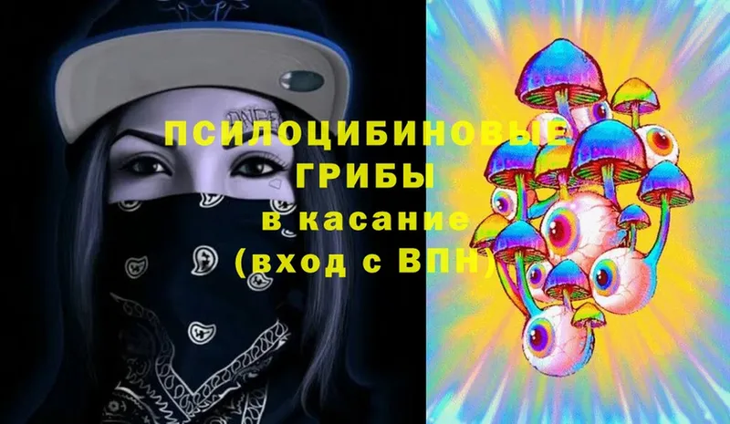 shop как зайти  Павлово  Псилоцибиновые грибы MAGIC MUSHROOMS  закладка 